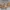 Miniature Valla _ madera _ 4