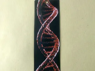 Bookmark DNA
