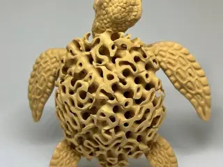 Flexi Coral turtle
