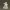 Po – Kung Fu Panda Fighting Stance 3D Model