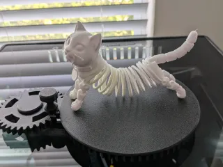 CatErpillar Cat