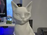 Kočka-0