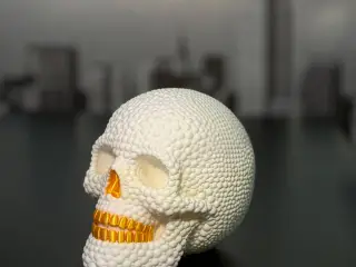 Pearl Skull