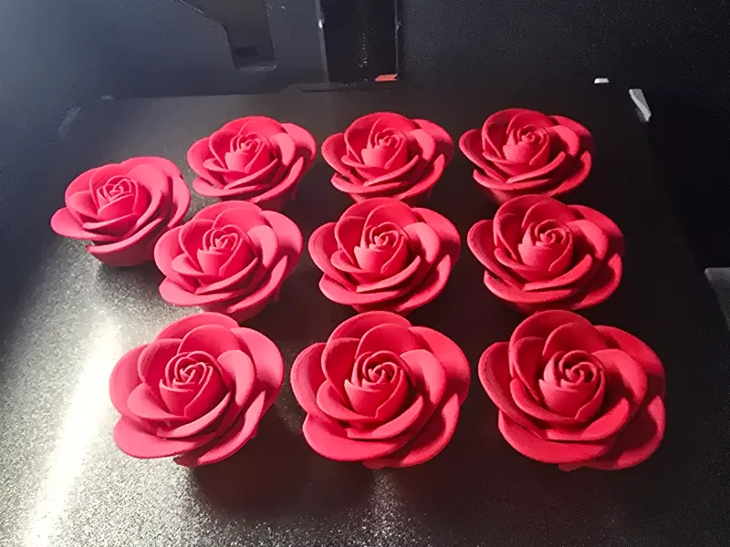 Mini Rosa Mothers DAYS