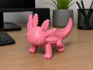 Axolotl