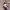 albedo maid hot con teschio