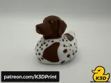 German Shorthaired Pointer Jeep Cruise Duck-0