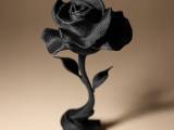 Rose Decor-0
