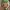 One Piece Zoro Funko POP