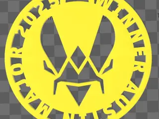 Team Vitality Austin Winner