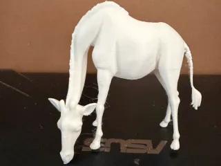 Giraffe 2