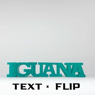 Text Flip - Iguana