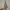 Thermoformed Christmas Tree