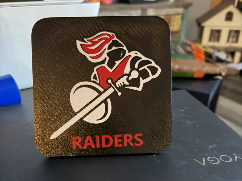 ЗАГЛУШКА ПРИЕМНОГО ГНЕЗДА СЦЕПКИ RAIDERS