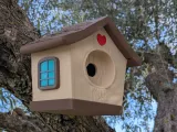 Cute Bird House-0