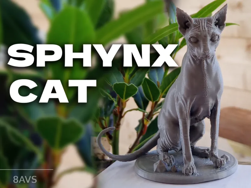 🐾 Sphynx Cat — a Warm Soul in a Quiet Form 🐾