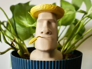 Moai The Plant Keeper