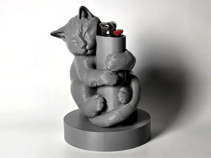 Case for lighter BIC J6 JUST a CAT
