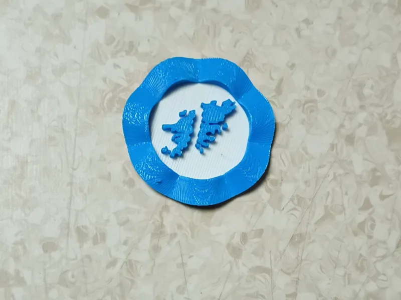 escarapela Argentina con las islas Malvinas