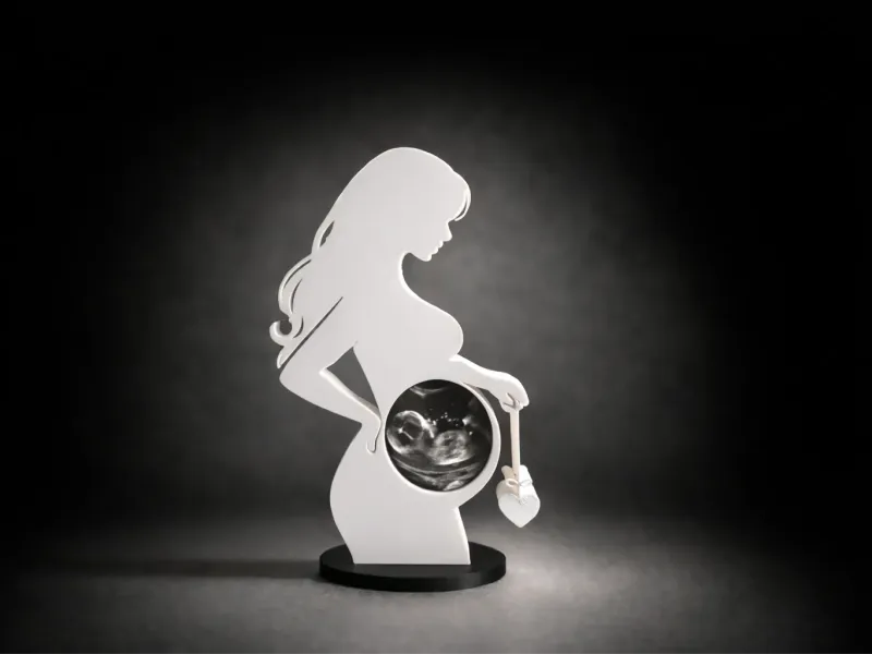 妊婦フレーム