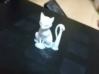 The cat's name is Sora-pose2