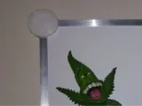 Magnetic Board Wall Mount-0