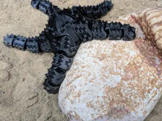 Starflex - Beautiful Flexi Starfish. Free! Easy to Print!