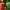 Popcorn buckets low poly