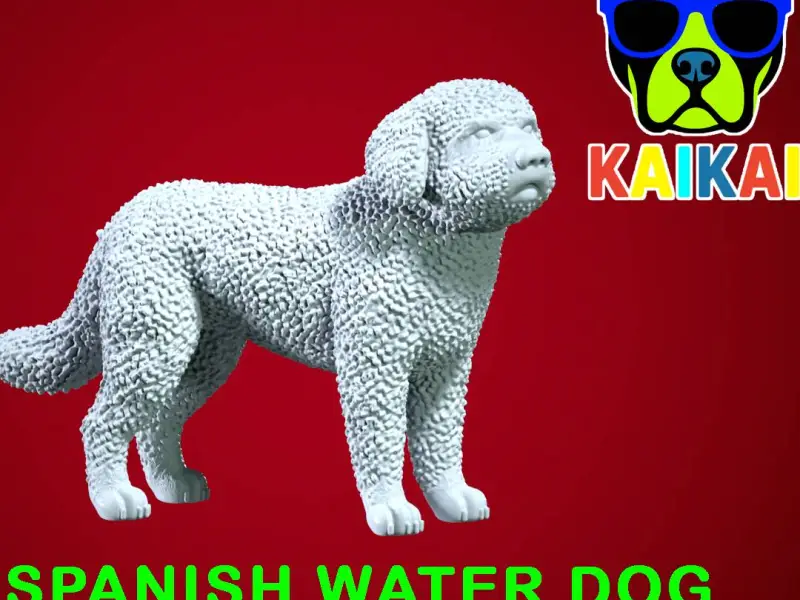 SWD - Spanish Water Dog - Perro turco model - 3D print