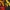 P_JB_V1_C_260311 2