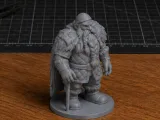 Dwarven Wanderer for DnD - Magic Series-0