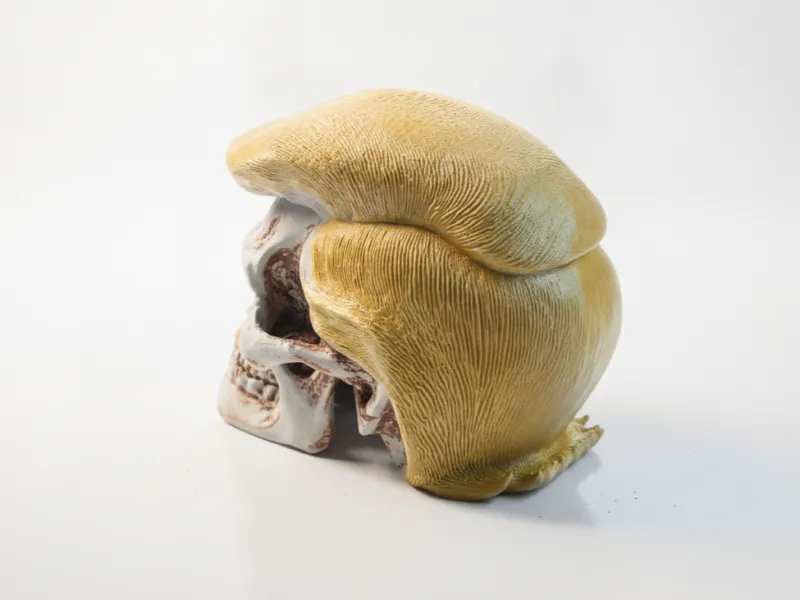 Donald Trump Skull Political Sculpture 3D Printable