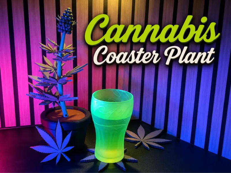 Cannabis-Untersetzer-Pflanze