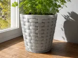 FLOWER POT-0