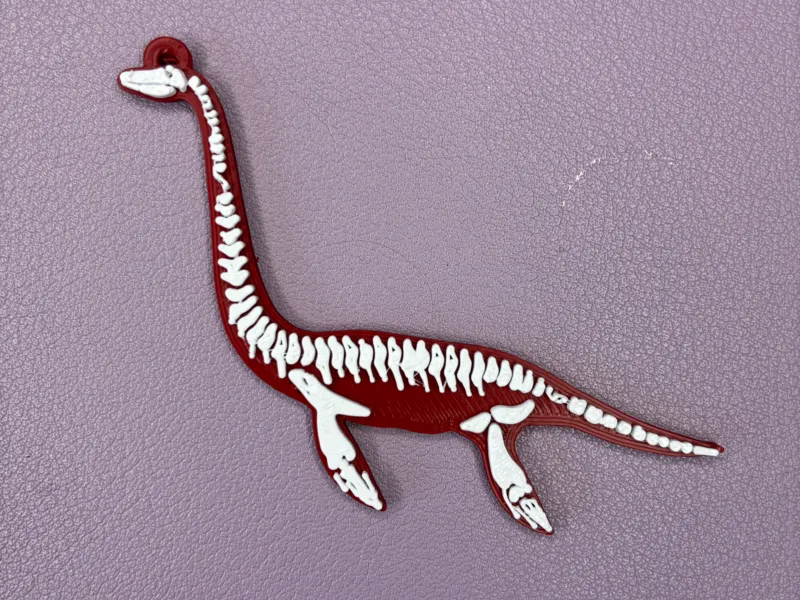 Plesiosaurus Skeleton Keyring | Multicolour Prehistoric Keyc
