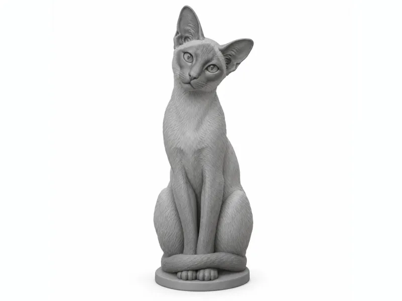 Siamese Cat