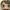 Funko Pop Harry Potter