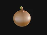 onion-0