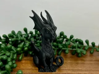 dragon