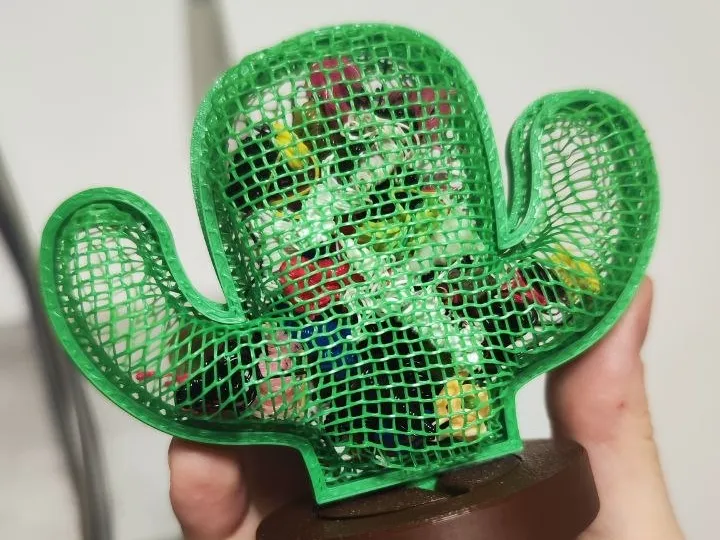 Mesh Cactus with a Secret Compartment! 🌵🤫