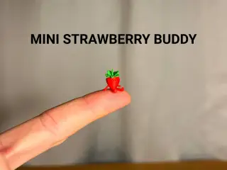 Mini Strawberry Buddy