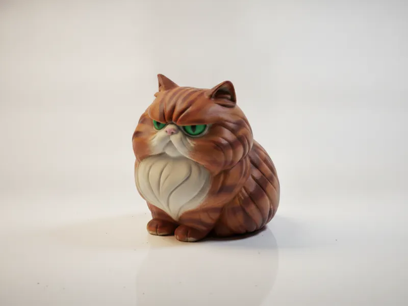 Adorabile Gatto Burbero