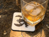 Coaster Monst-itch-0