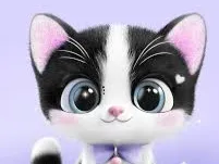 gatito blanco y negro