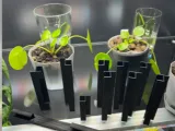 IKEA RUDSTA - Plant Cabinet-0