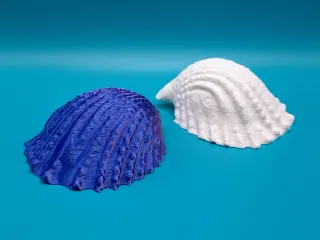 Conch