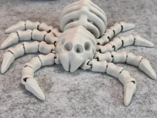 Flexi Skeleton Spider V2