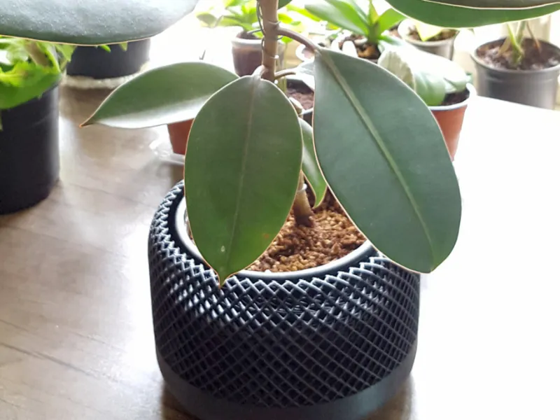 带底座花盆 2