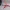 6-Zoll-Propeller 6035 V3