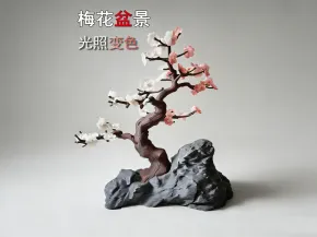 变色梅花盆景